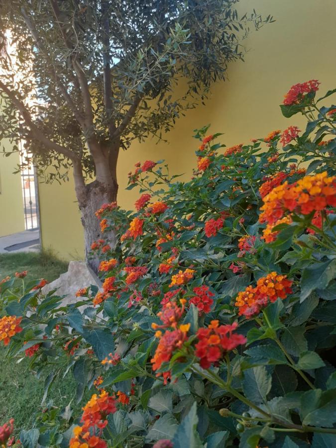 Appartamento A Pula In Zona Residenziale Exterior photo